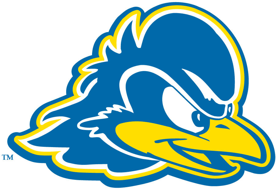 Delaware Blue Hens 2009-Pres Secondary Logo iron on paper